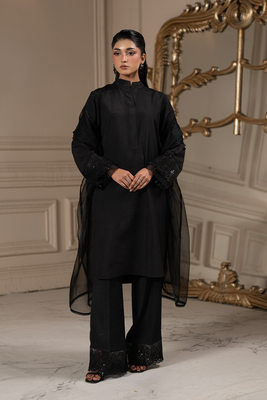 Black Theory | Embroidered Raw Silk