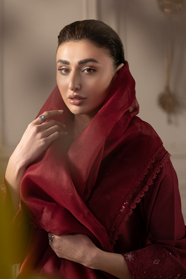 Silk Crimson | Embroidered Raw Silk