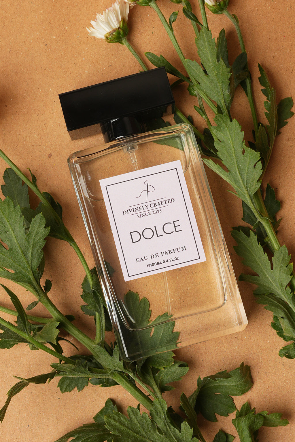 Dolce Perfume