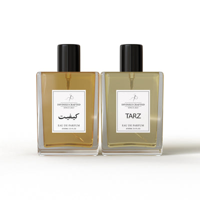 Men's Perfume | Bundle III